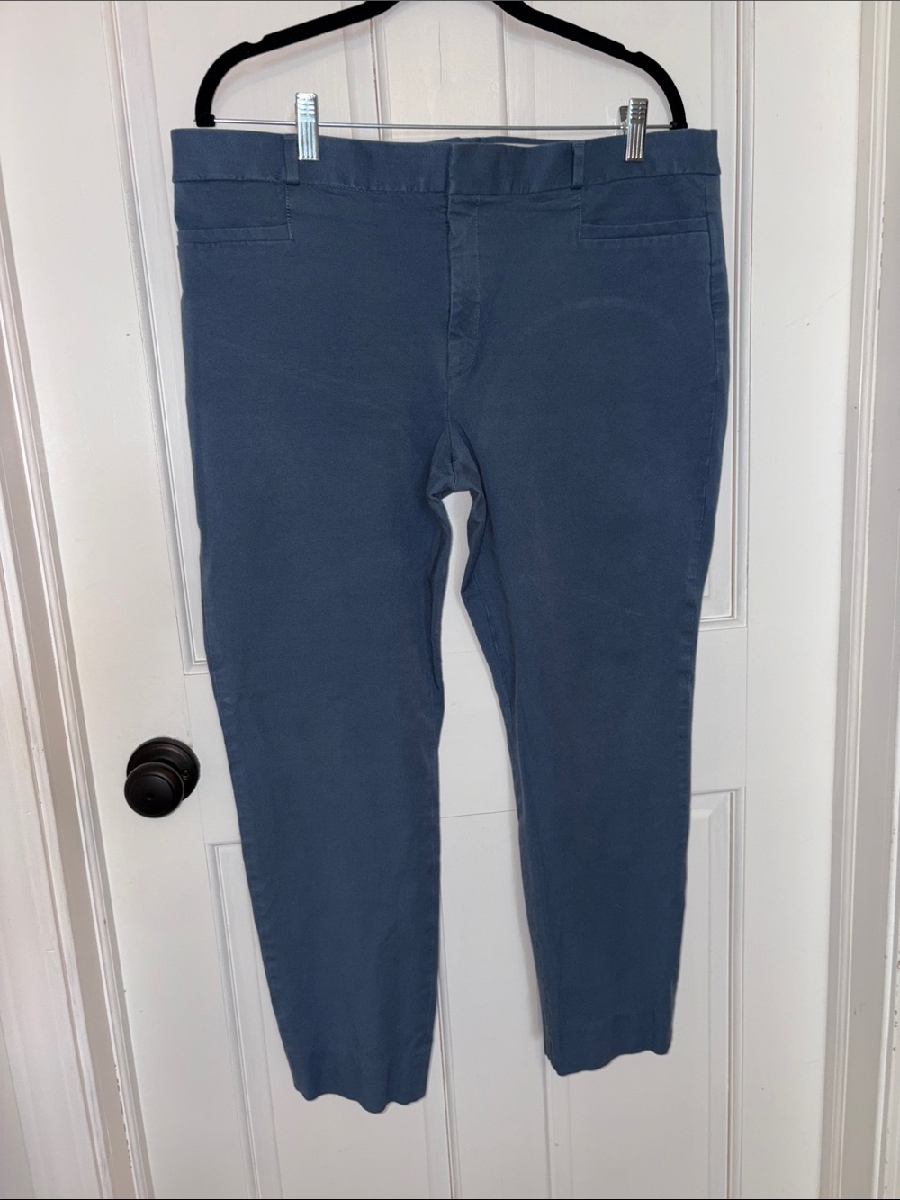 Banana Republic Women's Slim Sloan Pants in Slate Blue